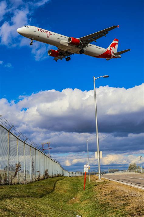 What Are Some Low-maintenance Flowering Shrubs? – Welcome