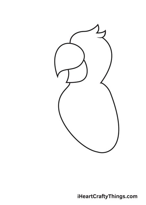 Image result for How to Draw Simple Parrot
