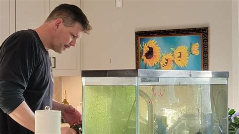 Image result for Basic Setup Fish Tank