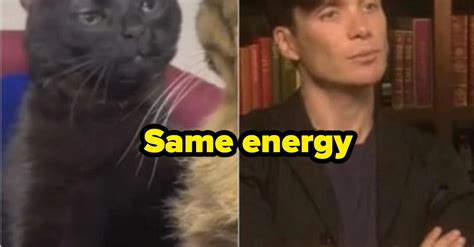 21 Hilarious Animal Comics