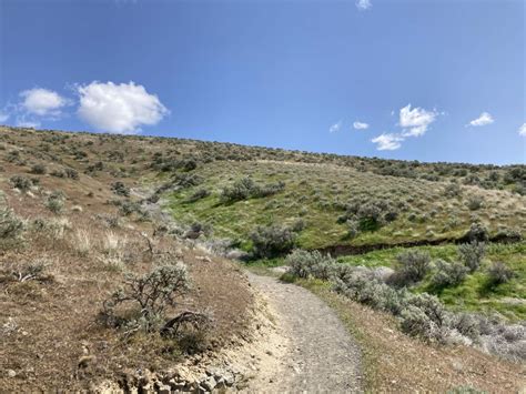 Badger Mountain Skyline Loop hike in Tri-Cities – Top Left Adventures
