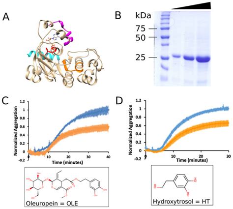 JoR | Special Issue : Cystic Fibrosis: Genetics, Pathophysiology and ...