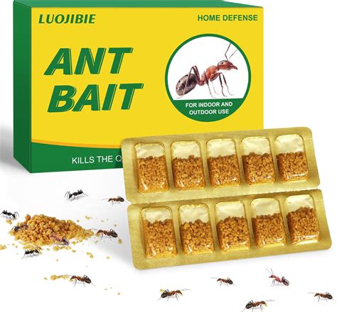 Amazon.com : LUOJIBIE Ant Traps Indoor/Outdoor, Ant Killer Bait for ...