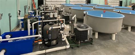 Industrial Machinery :: Commercial Service Equipment :: RAS aquatic ...