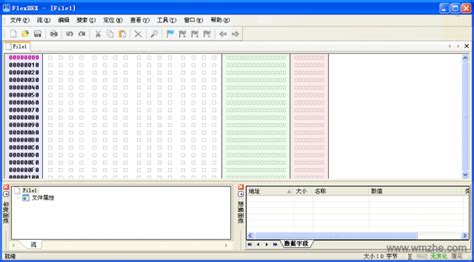 bin文件编辑器|FlexHEX Editor V2.1.2.0 官方版下载_完美软件下载