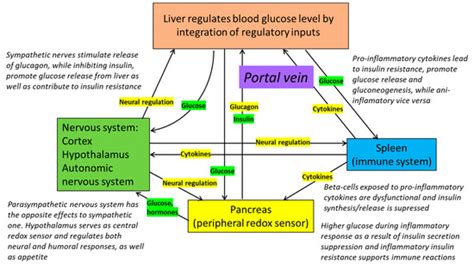 Glucose as a Major Antioxidant: When, What for and Why It Fails?