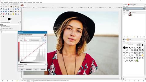 Image result for GIMP Guide