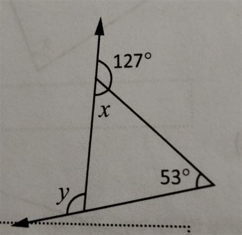 find the value of x and y - Brainly.in
