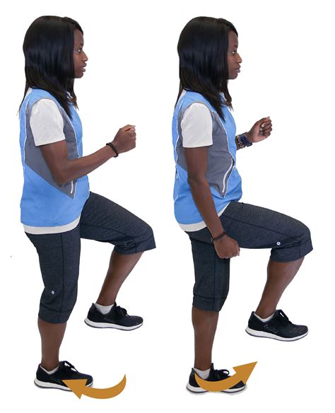 Image result for Contralateral March Exercise