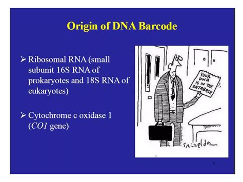Image result for DNA Barcoding Explained
