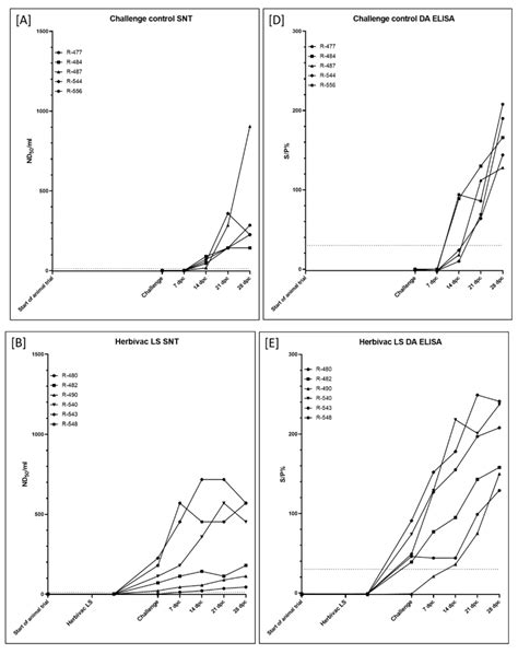 Development of a Safe and Highly Efficient Inactivated Vaccine ...