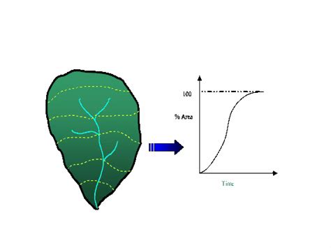 Image result for Hydrology Modelling