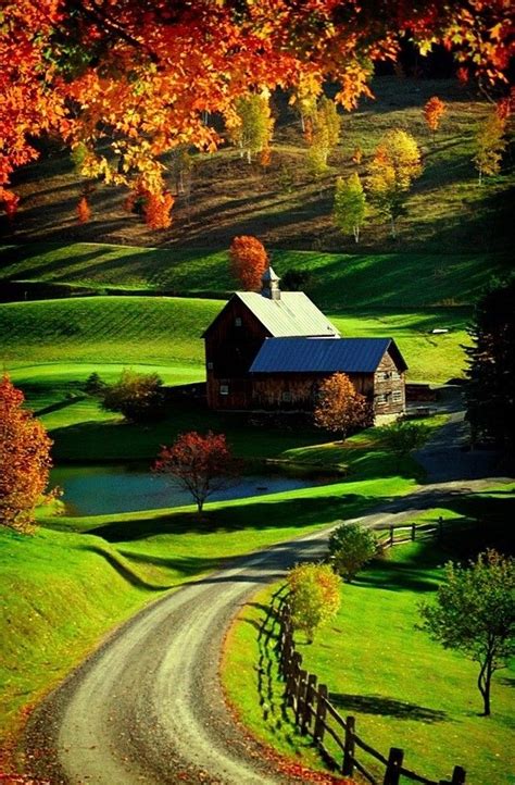 Fall in the Country 的图像结果