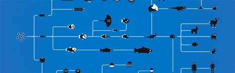 Download wallpaper biology, science, evolution, in short, section ...