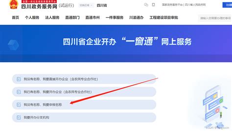 开办公司的流程（四川）_四川企业名称申报系统-CSDN博客