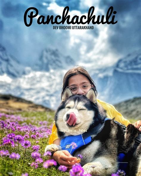 Twishaa Bhatt | Ivy Bella Zuri (IBZ) - Girls from the Hills | Hope you all don’t disappoint me ...