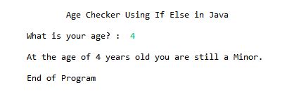 Image result for Java Program for Computer to Guess Your Age