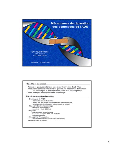 Comment Reprogrammer ADN 的图像结果