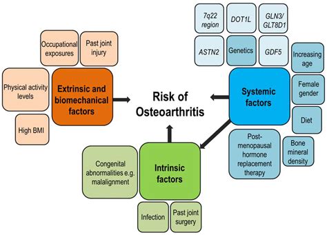 The Genetics of Osteoarthritis: A Review