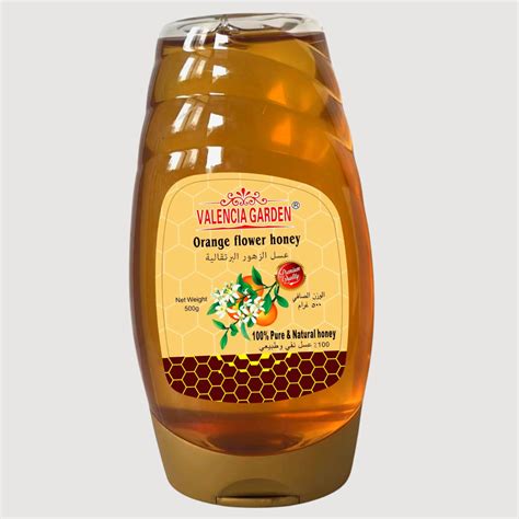 Valencia Garden Orange Flower Honey Squeezy 12x500gm – RDS General ...