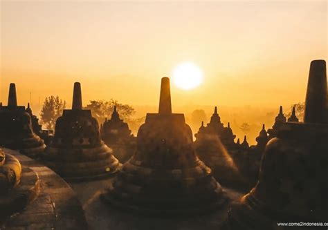 Java Island 的图像结果