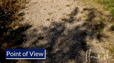 12 Camera Shots and Angles for Beginners - Learn to Flourish