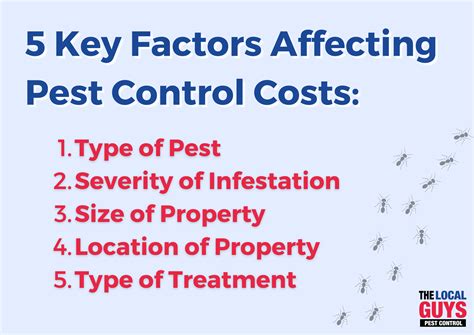 How Much Does Pest Control Cost? | Pest Control