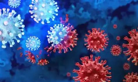 WHO terms new COVID strain JN.1 as "variant of interest" with low low ...