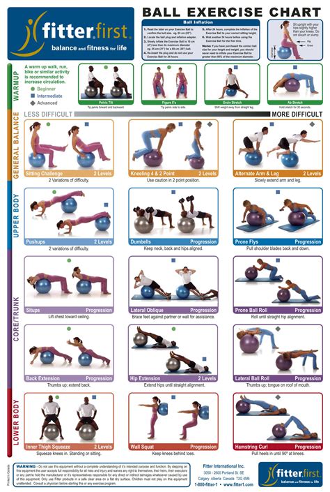 Ball Exercise Chart | Workout chart, Stability ball exercises, Ball ...