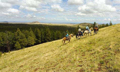 White Mountains Cabin Holiday Rentals (4.8 out of 5) - Lincoln, NH | Airbnb