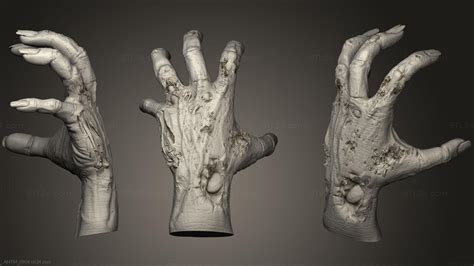 Anatomy of skeletons and skulls - Monster Hand 3, ANTM_0906. 3D stl ...