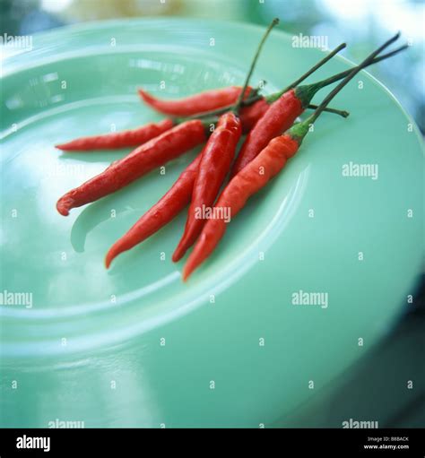 Using Excel Filter Function 的图像结果