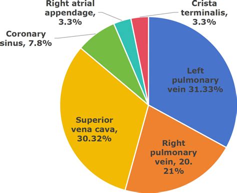 Distribution Patterns of Paroxysmal Atrial Fibrillation Triggers and Catheter Ablation Success ...