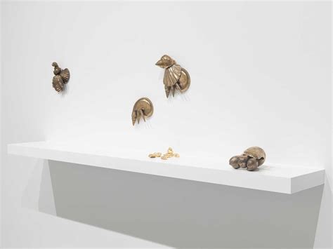 Amalia Pica. Rock comb | Meer