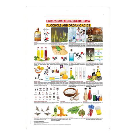 Alcohols And Organic Acids (Early Learning Chart) – Chirukaanuka