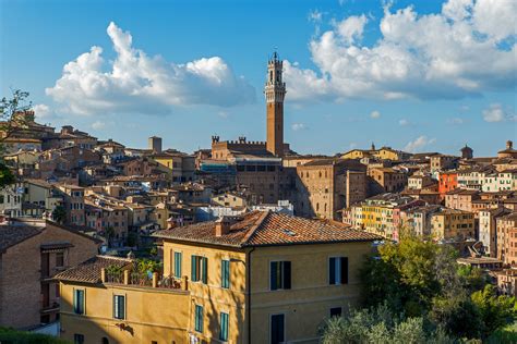 Image result for Python Siena