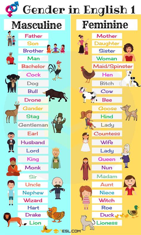 Gender of Nouns in English • 7ESL | Gender in english, English words ...