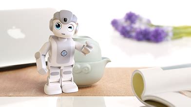 Alpha Mini Robot 的图像结果