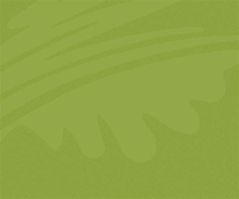 Outdoor Farmers’ Market - Explore Oak Ridge