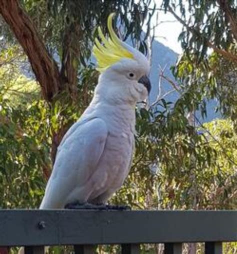 Mathematical Matrix 的图像结果