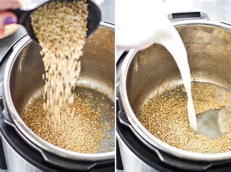 Instant Pot Cinnamon Apple Steel Cut Oats - Project Meal Plan