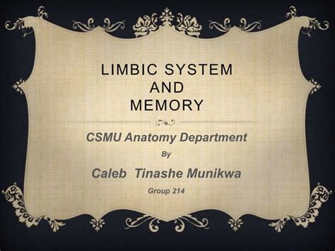 Limbic system Memory 的图像结果