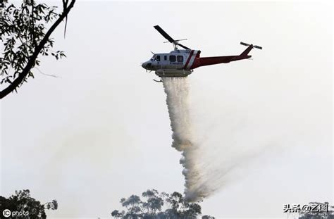 澳洲野火持續燃燒，無尾熊陷火海獲救 - Greenpeace 綠色和平 | 臺灣