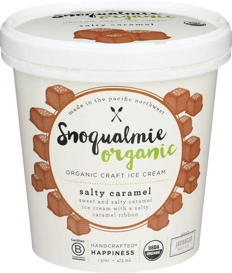 Amazon.com: Snoqualmie Organic Ice Cream Salty Caramel Ice Cream, 16 oz ...