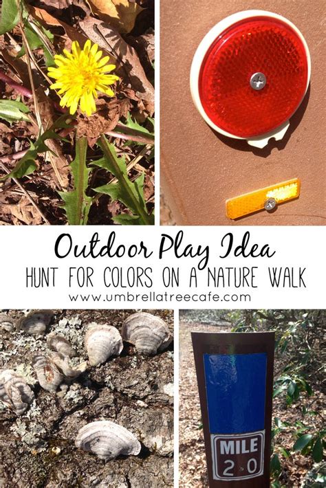 Nature Kids 的图像结果