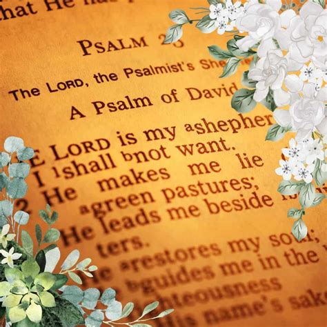 The Best Psalms Of Lament To Guide Your Grief – The Creator's Classroom