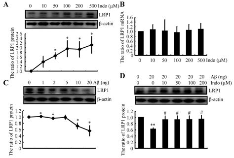 Indomethacin Disrupts the Formation of β-Amyloid Plaques via an α2 ...