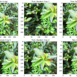 Image result for How Does It Work Sample Image