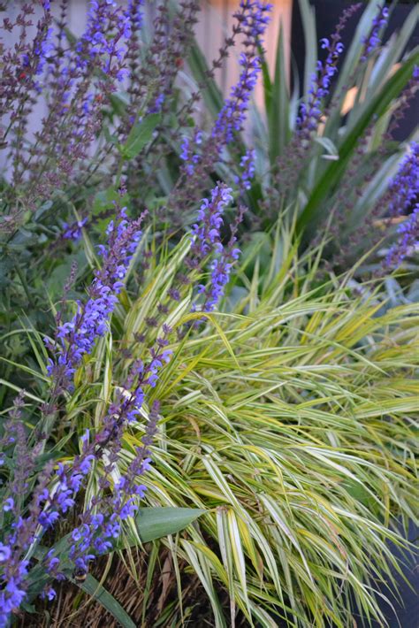 Contemporary minimalist urban garden - Thrity Mama Garden Design