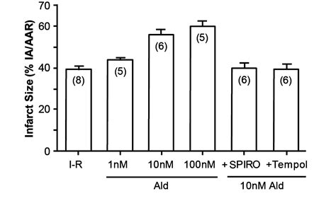 Aldosterone and Mineralocorticoid Receptors—Physiology and Pathophysiology